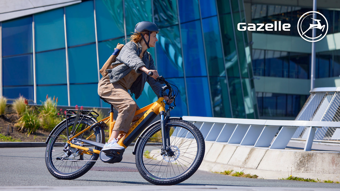 Gazelle Medeo T10 (Turmeric Yellow glans)