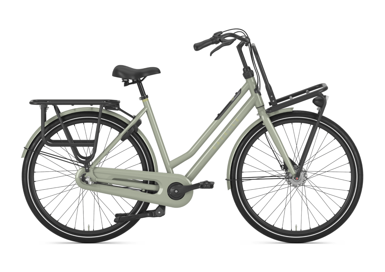 Gazelle HeavyDutyNL