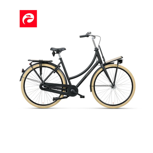 Batavus PACKD 3