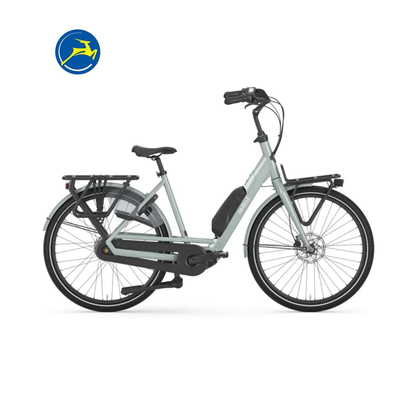 Gazelle Bloom C7 (Light Olive glans)