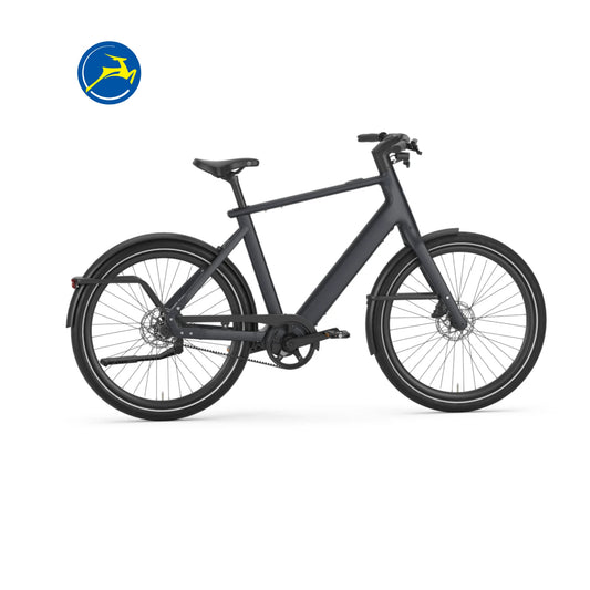 Gazelle Cayo C1 (Graphite Blue mat)