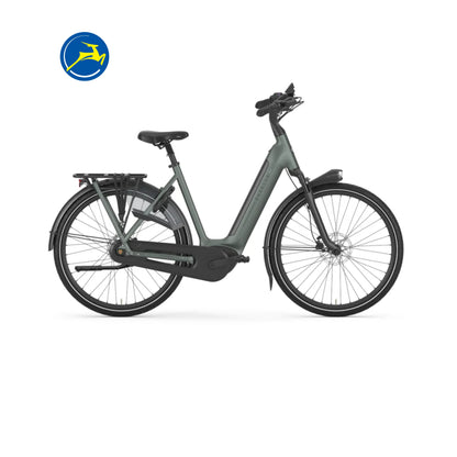 Gazelle Grenoble C8+ (Twilight Green mat)