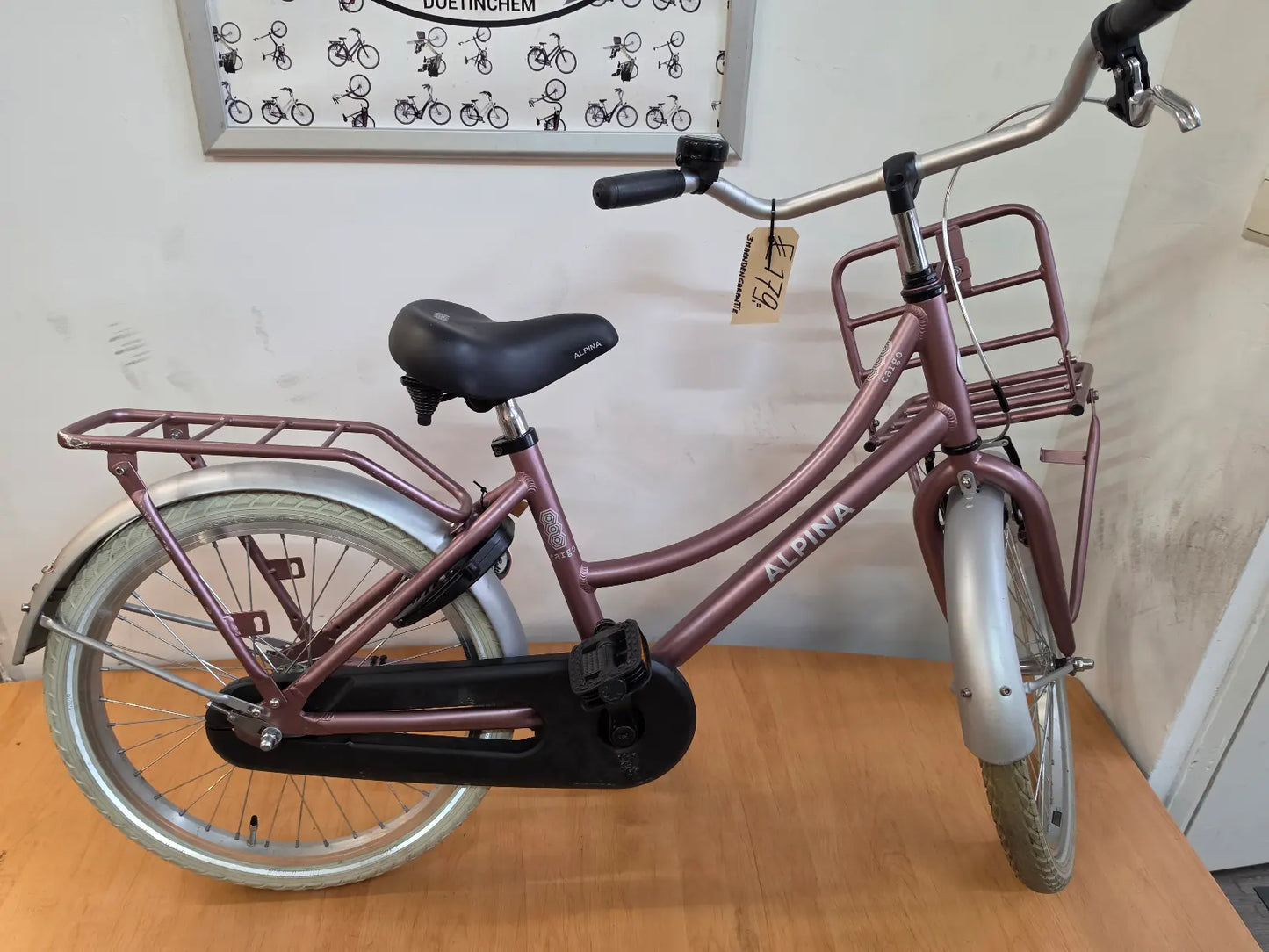 Alpina Cargo m33 20" 33cm 2023 Roségoud - 26412