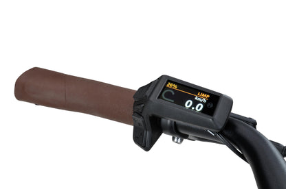 Batavus Altura E-Go (Lichtgrijs mat)