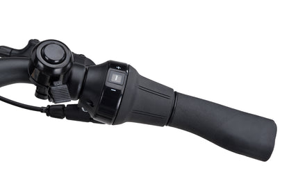 Batavus Altura PT Pro Incl. 500wh