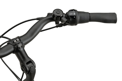 Batavus Altura CP Flex