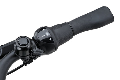 Batavus Altura PT Incl. 500wh