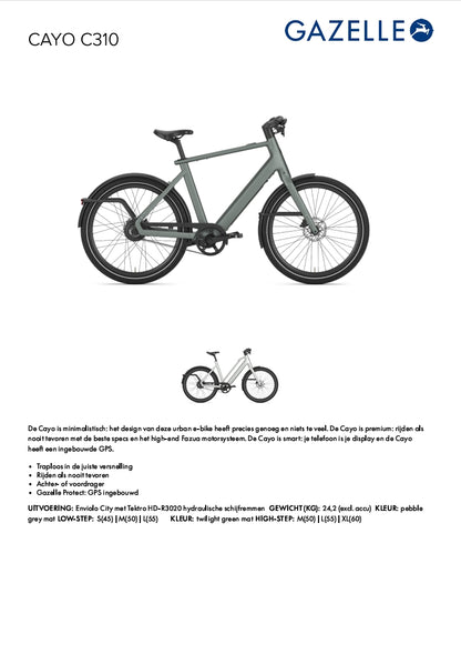 Gazelle Cayo C310 (Twilight Green mat)