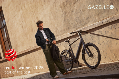 Gazelle Cayo C310 (Twilight Green mat)