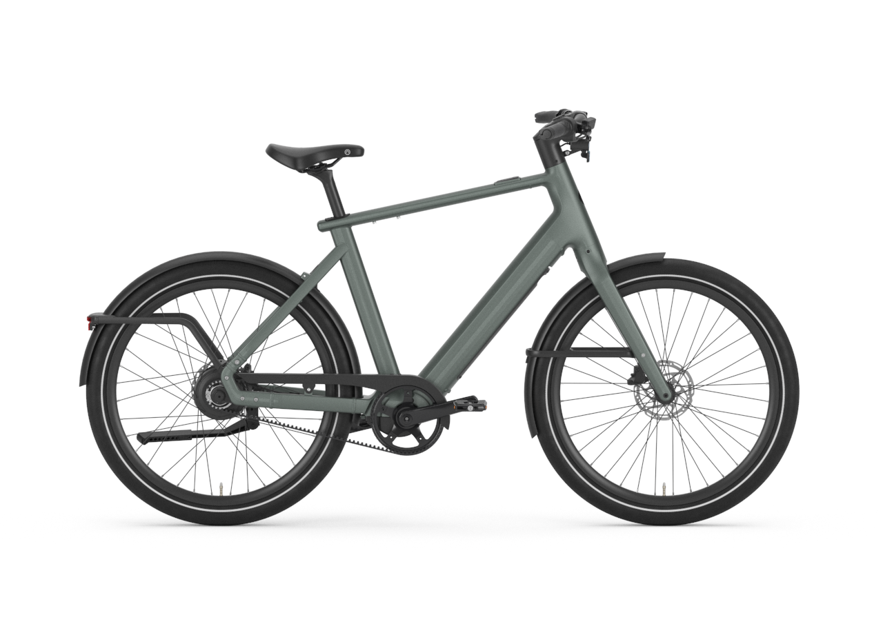 Gazelle Cayo C310 (Twilight Green mat)