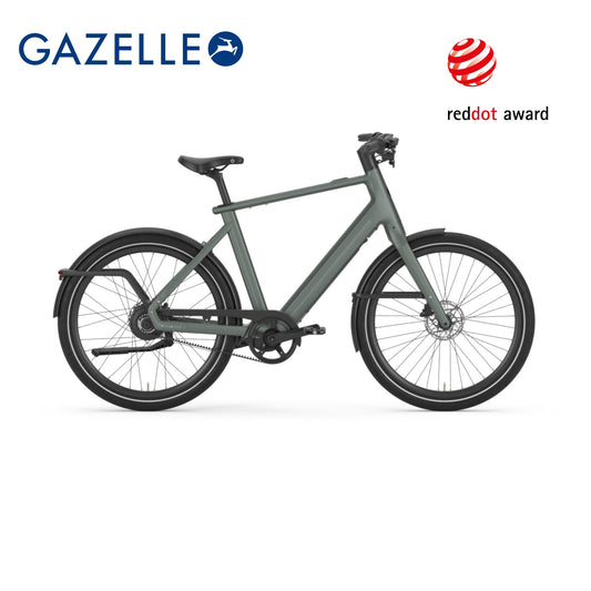 Gazelle Cayo C310 (Twilight Green mat)