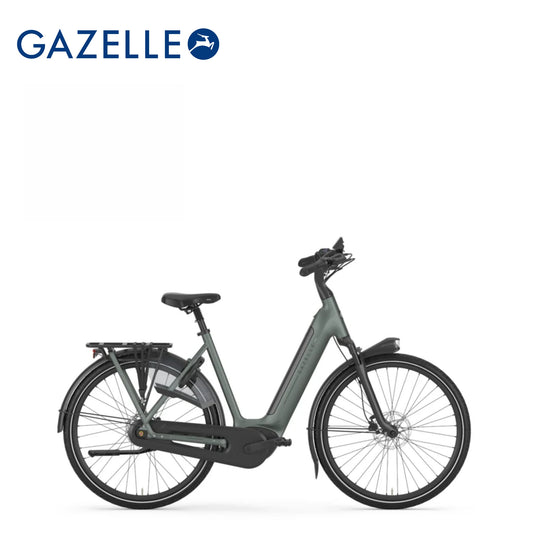 Gazelle Grenoble C8+ (Twilight Green mat)