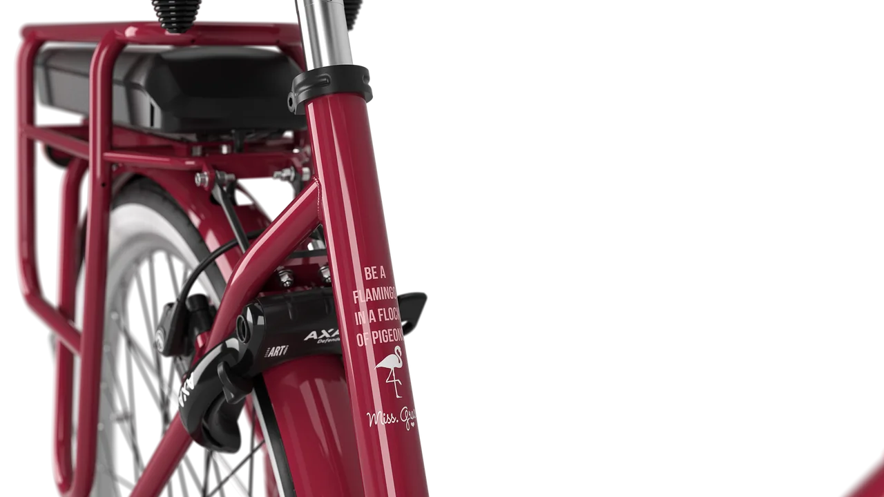 Gazelle Miss Grace C7