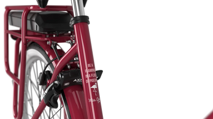 Gazelle Miss Grace C7