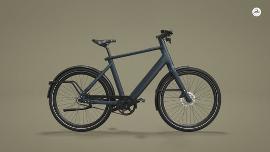 Gazelle Cayo C310 (Twilight Green mat)